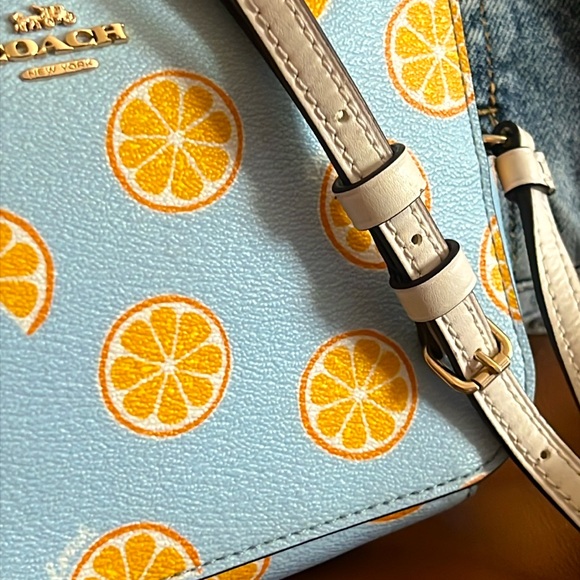 Limited Edition Coach Mini Camera Bag Crossbody With Orange Print - Picture 6 of 15